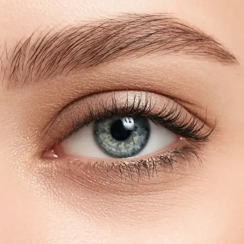 Soft Brow + Design