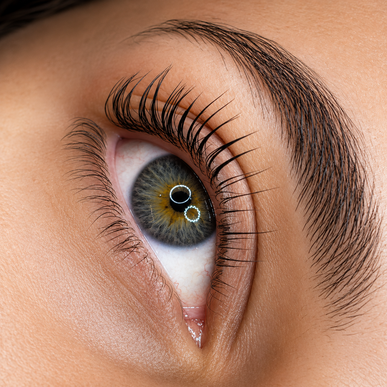 Lash Lift Deluxe